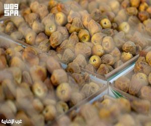 بمشاركة واسعة للمزارعين.. انطلاق «موسم تمور الربوة 2026» في الرياض