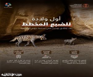 "مركز تنمية الحياة الفطرية" ونيوم يحتفيان بأولى ولادات الضبع المخطط