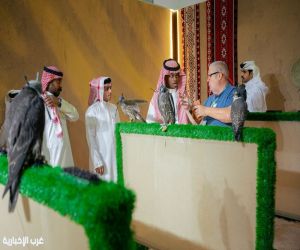 صقار بريطاني: صقور الصيد والإنتاج تخضع لمعايير مختلفة في المزاد الدولي لمزارع إنتاج الصقور