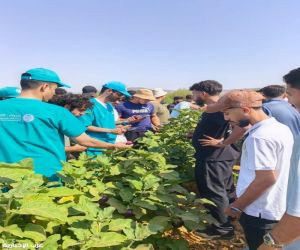 وقاء مكة ينظم ورشًا وزيارات ميدانية لطلاب جامعة الملك عبدالعزيز حول الإدارة المتكاملة للآفات النباتية