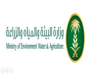 "بيئة المدينة المنورة" تشارك في مبادرة "عودتنا خضراء"