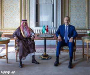 وزير الخارجية يلتقي نظيره التركي
