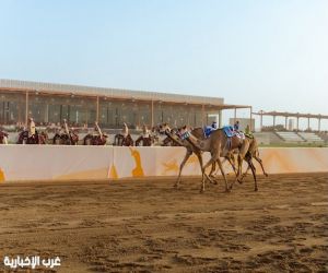 الهجن السعودية تتصدر افتتاحية “اللقايا” في مهرجان ولي العهد