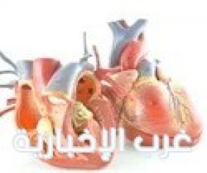 دراسة : التعرض للضوء ليلاً يؤدي إلى تغيير بنية القلب ووظيفته