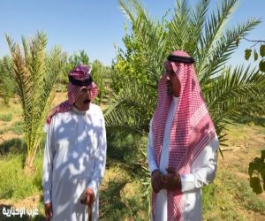 "بيئة دومة الجندل" تتابع المشاريع الزراعية وتطلع على أنواع الأشجار والمحاصيل المختلفة