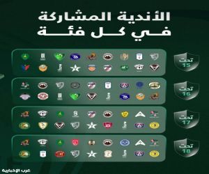 دوريات الفئات السنية للدرجة الأولى.. 12 بطاقة صعود نحو الممتاز