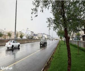 «الأرصاد» يُحذّر من أمطار وصواعق رعدية ورياح نشطة على الباحة ومحافظاتها حتى الـ8 مساءً