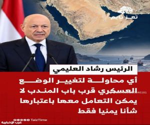 الرئيس رشاد العليمي : تغيير الوضع العسكري قرب باب المندب  ليس شأناً يمنياً