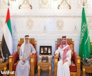 وزير الدفاع يبحث مع نائب رئيس الإمارات تعزيز التعاون والتنسيق بين البلدين