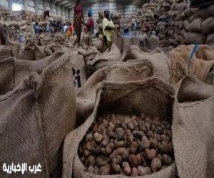 أسعار الكاكاو تهبط من أعلى مستوياتها في أسبوع مع وفرة إمدادات كوت ديفوار