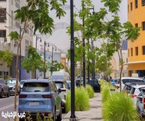أمانة الشرقية تطلق موسم التشجير في الخبر بزراعة أكثر من 120 ألف شجرة وشجيرة
