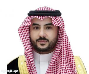 وزير الدفاع ونظيره الإيطالي يبحثان التعاون العسكري