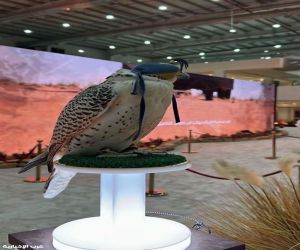 من الصقور إلى الرحلات البرية.. معرض الرياض يحتفي بأصالة التراث السعودي»