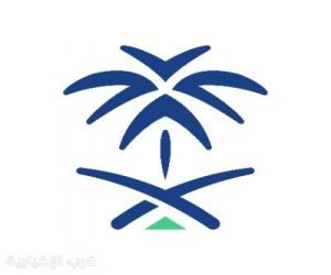 إتاحة خدمة الاستعلام عن المتاجر الإلكترونية الموثقة عبر تطبيق "توكلنا"