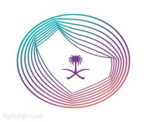 "تنظيم الإعلام" تطلق مبادرة تقسيط الغرامات المالية الصادرة