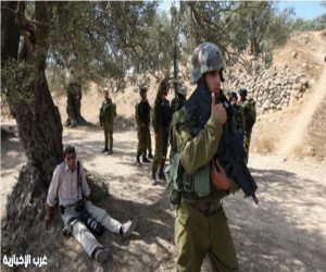 البرلمان العربي: حقوق الشهداء الفلسطينيين لا تسقط بالتقادم.. اعتداءات المستوطنين تهدد مزارعي الزيتون في الضفة