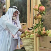 مبيعات مهرجان الرمان فاقت*الثلاث مليون *خلال ثلاث ايام*