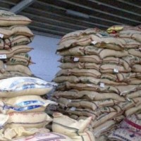 جولة ميدانية تكشف تمسّك تُجار الأرز بأسعاره القديمة رغم انخفاضه 40%