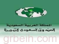 الصندوق السعودي للتنمية يمول 19 مشروعاً