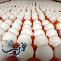 مستثمر: يجب فرض رسوم حماية جمركية على البيض المستورد لوقف إغراق السوق المحلي