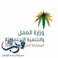 "العمل والتنمية الاجتماعية": مبادرة "تأسيس المجالس الوطنية القطاعية" ترفع مستوى التنسيق بين الجهات الحكومية والقطاع الخاص لزيادة فرص العمل للسعوديين