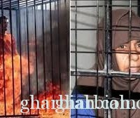 عاجل| الأردن : السلطات الأردنية أعدمت "ساجدة الريشاوي" منذ قليل