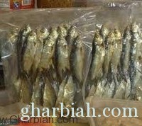 بلدية جدة تحبط توزيع 4 أطنان من الأسماك الفاسدة