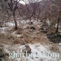  أمطار على محافظة الطائف " صور"