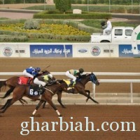  نادي الفروسية يقيم حفل سباقه الـ 12 ضمن موسم سباقات الخيل للمصيف بالطائف