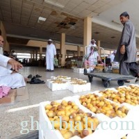  المدينة المنورة تستقبل طلائع موسم الرطب