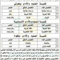 جامعة الباحة : وظائف أكاديمية في كلياتها بقلوة،بلجرشي، المخواة