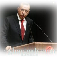 محاولة أردوغان فرض تدريس اللغة التركية القديمة تواجه انتقادات حادة