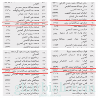 رغم الامتيازات .. أبناء محافظ الطائف ينافسون المواطنين المحتاجين في المنح الملكية