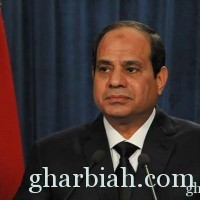 السيسي: قرار "عودة الإخوان" متروك للشعب المصري