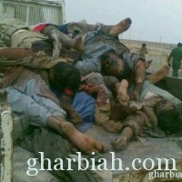 عاجل: مقتل (40) حوثي وشهيدين من رجال القبائل نتيجة المعارك الطاحنة بشبوة