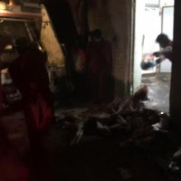 فرع بلدية الشوقيه بمكة تصادرة (900) رأس غنم وإغلاق مسلخ عشوائي