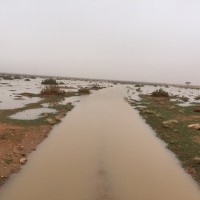 بالصور : هطول أمطار متوسطة إلى غزيرة في المجمعة وشقراء