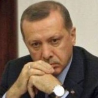 الرئيس التركي :ينهي زيارته بسبب وفاة " صحفي "مرافق له بالمدينة