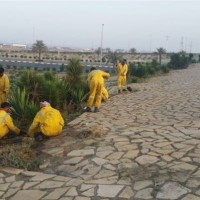 بلدية رأس تنورة تقوم بأعمال صيانة وتنظيف بكورنيش المحافظة