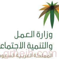 "العمل والتنمية الاجتماعية" تؤكد: 7 أيام متبقية على تطبيق العقوبات بحق المحلات المخالفة لقرار توطين 50% بقطاع الاتصالات