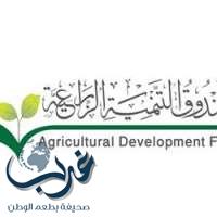 صندوق التنمية الزراعية بنجران ينظم ورشة عمل لاستعراض استراتيجيته