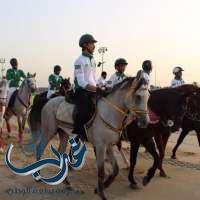 مزاد بطولة الشرقية للخيول العربية الأصيلة ينطلق غداً