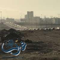 يامرور #جدة هل تملكون الحل لزحام حي السامر مع تقاطع التحلية !؟
