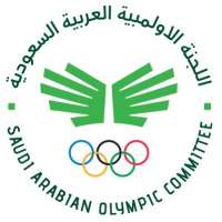 رئاسة اللجنة الأولمبية تنحصر بين مرشحين