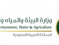 وزارة البيئة والمياه والزراعة : 13 لجنة للتفتيش على تطبيق نظام المبيدات في جميع المناطق الإدارية
