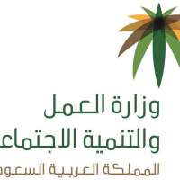 "العمل والتنمية الاجتماعية" تتعامل مع 3799 بلاغًا عبر تطبيق "معا للرصد".. و1304 بلاغات تقود لضبط مخالفات*