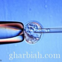 ضبط الخلايا الجذعية لدراسة التطور الجنيني