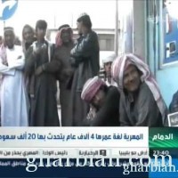 تقرير : في السعودية.. نحو 20 ألف مواطن يتكلم اللغة المهرية  " بالفيديو"