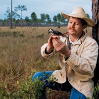 Red-cockaded woodpecker populations strengthened thanks to Power of Flight program