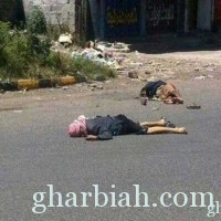 عاجل :قتلى من الحوثيين في غارتين على لحج
